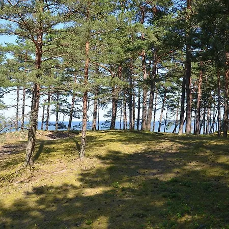 Apartman Lohusalu Apartment